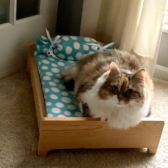 I’m Robin, your Posh Ambassador! - Picture 4 of 7